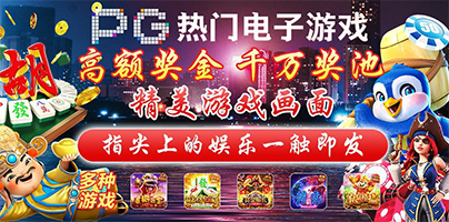 正版WG模版 秒充秒提 大额无忧